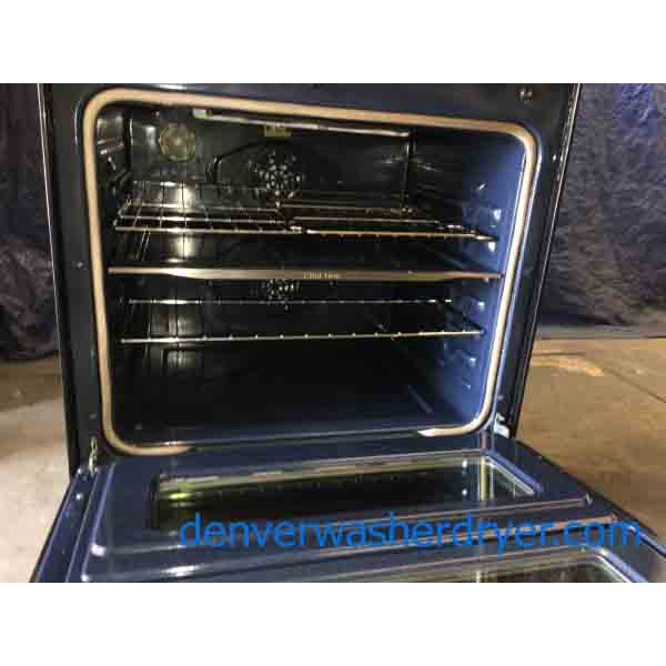 Fantastic Samsung GlassTop Convection Double Oven! 3093 Denver