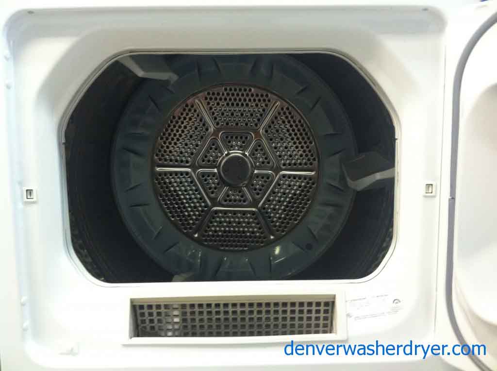 Breathtaking GE Profile Dryer