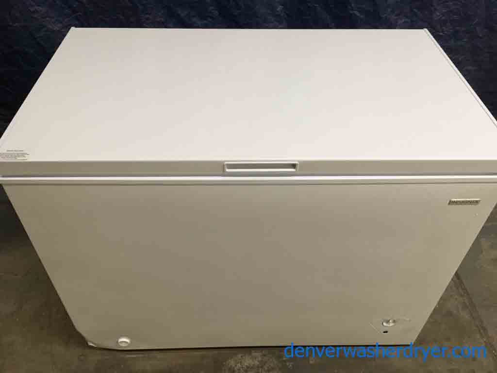 2 Chest Freezers, 1 Stainless Refrigerator