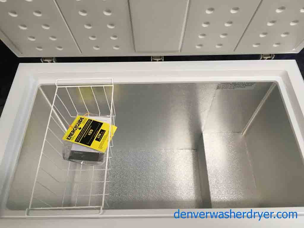 2 Chest Freezers, 1 Stainless Refrigerator